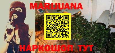 крисы Новозыбков